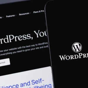 contrat de maintenance wordpress